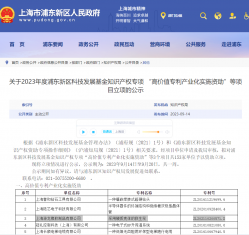 公司喜获2023年度浦东新区科技发展基金知识产权专项 “高价值专利产业化实施资助”立项